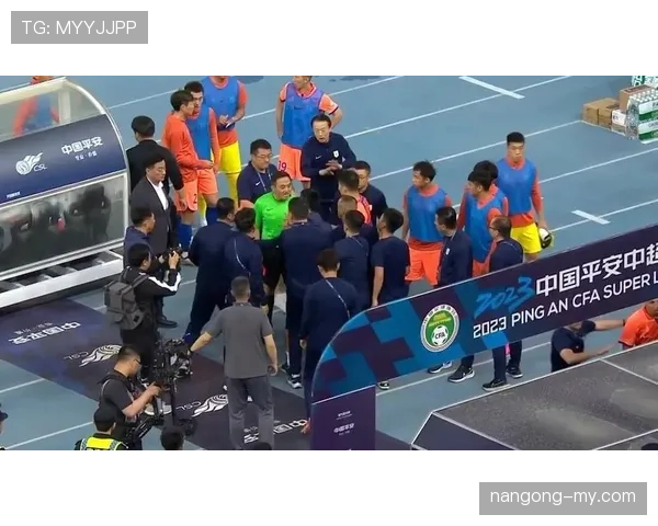 比赛用球规则认证标准与裁判更换程序详解